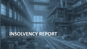 Insolvency Report 11/2024